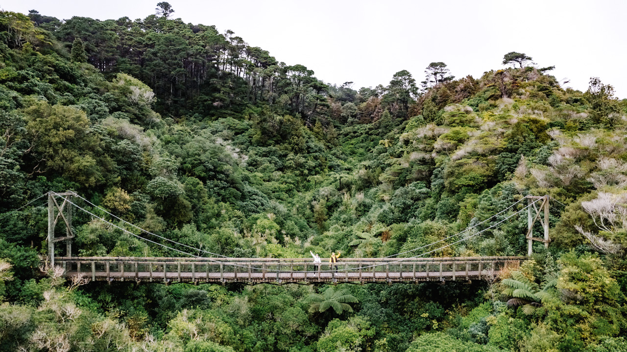 Zealandia Ecosanctuary